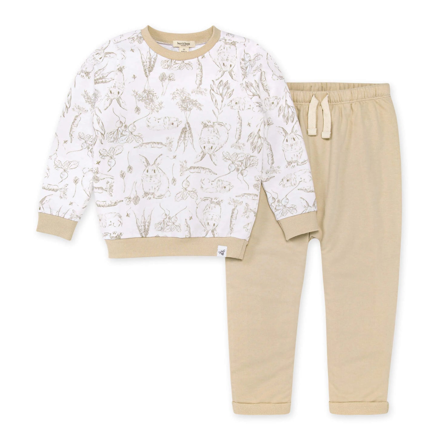 Burt's Bees Bunny French Terry Top & Pant Set